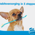 Bericht7_5_Stappen