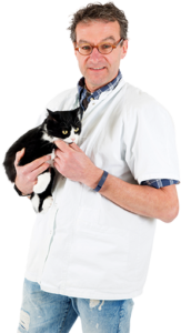 Image of a doctor with a cat